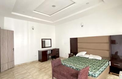 3 Bedrooms Terrace Duplex (Furnished)
