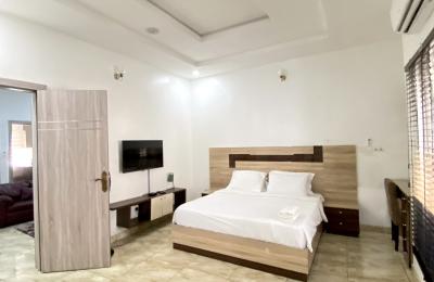3 Bedrooms Terrace Duplex (Furnished)