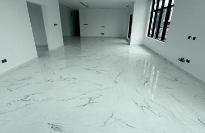 7 Bedroom Fully Detached Duplex