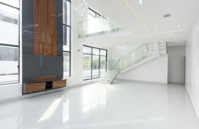 Project Redwood and Stargate